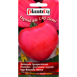 Pomidor-Oxheart-(typ-Bawole-Serce)---0,2-g